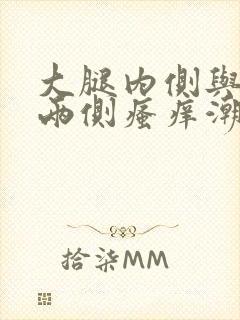 大腿内侧与阴囊两侧瘙痒潮湿用啥药