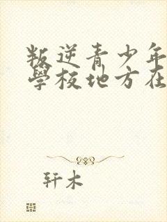 叛逆青少年管教学校地方在哪