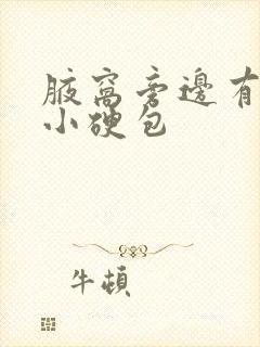 腋窝旁边有一个小硬包封面