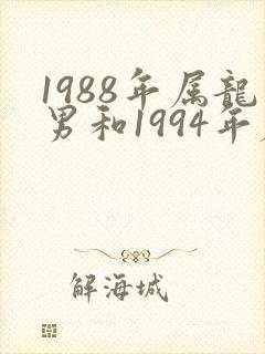 1988年属龙男和1994年属狗女配吗封面