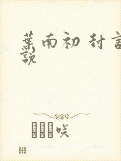 叶南初 封言小说
