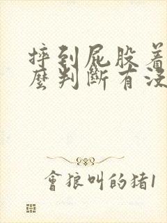 摔到屁股着地怎么判断有没有骨折