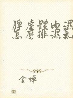 脾虚体内湿气重怎么排湿气