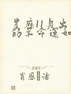 农历11月出生的羊命运如何封面