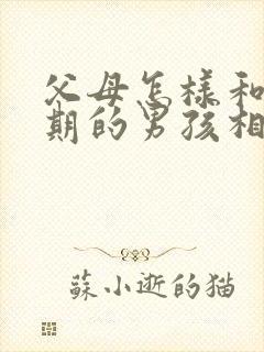 父母怎样和叛逆期的男孩相处