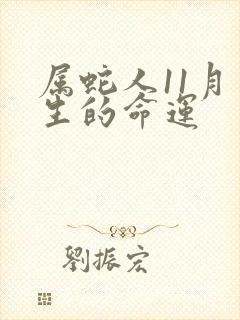 属蛇人11月出生的命运