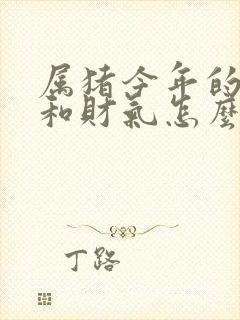 属猪今年的运气和财气怎么样封面