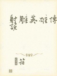 射雕英雄传 小说封面