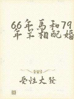 66年马和79年羊相配婚姻如何