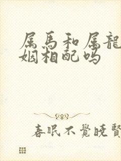 属马和属龙的婚姻相配吗