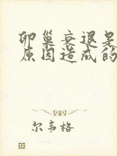 卵巢衰退是什么原因造成的女性