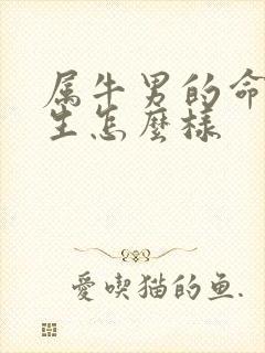 属牛男的命运一生怎么样