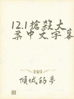 12.1枪杀大案中文字幕全集