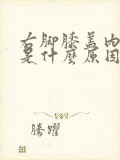 右脚膝盖内侧痛是什么原因引起的