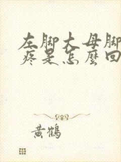 左脚大母脚趾头疼是怎么回事