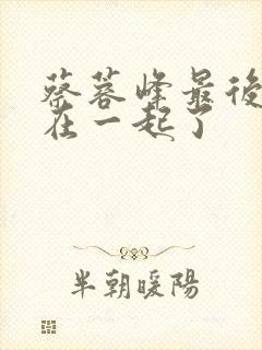 蔡蓉峰最后和谁在一起了封面