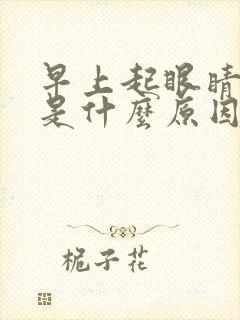 早上起眼睛干涩是什么原因