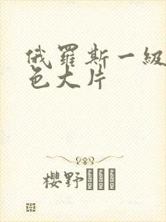 俄罗斯一级纯黄色大片封面