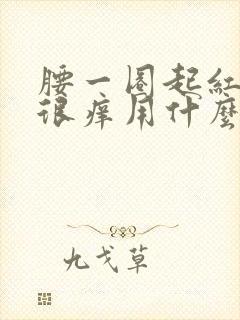 腰一圈起红疙瘩很痒用什么药