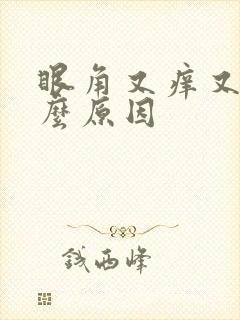 眼角又痒又痛什么原因