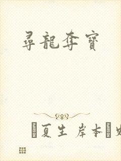 寻龙夺宝