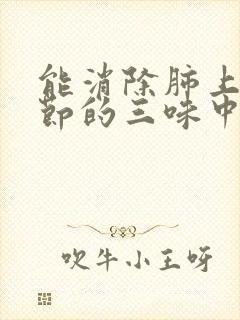 能消除肺上小结节的三味中药