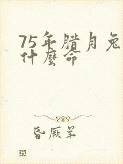 75年腊月兔是什么命