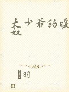 大少爷的暖床小奴