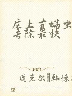 床上有螨虫怎么去除最快