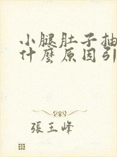 小腿肚子抽筋是什么原因引起的