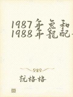 1987年兔和1988年龙配婚姻好不好封面