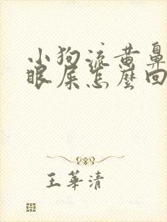 小狗流黄鼻涕有眼屎怎么回事封面