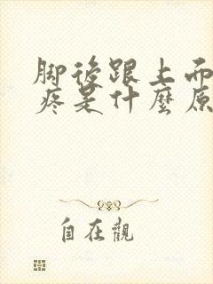 脚后跟上面大筋疼是什么原因