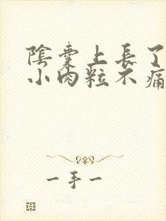 阴囊上长了一个小肉粒不痛不痒封面