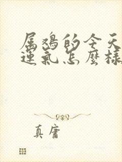 属鸡的今天打牌运气怎么样