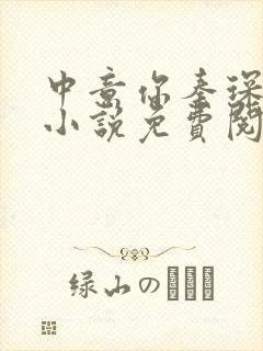 中意你秦琛苏沫小说免费阅读封面