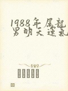 1988年属龙男明天运气如何封面