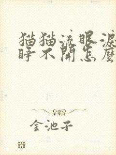 猫猫流眼泪眼睛睁不开怎么回事