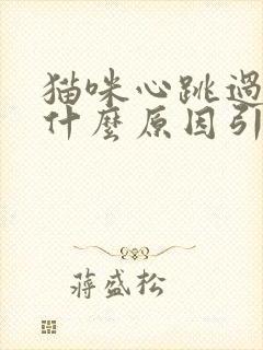 猫咪心跳过快是什么原因引起的