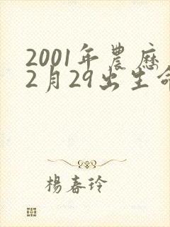 2001年农历2月29出生命运