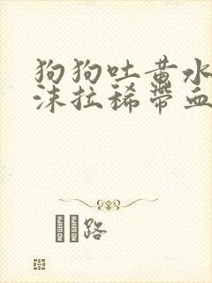 狗狗吐黄水带泡沫拉稀带血