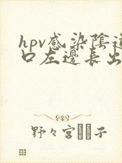 hpv感染阴道口左边长出长条淡粉色肉