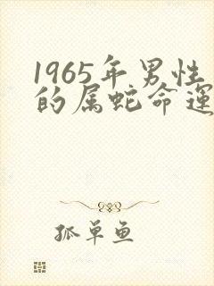 1965年男性的属蛇命运如何