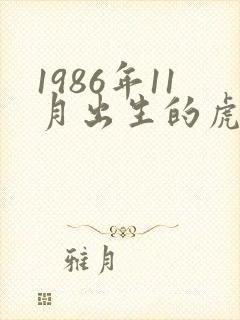 1986年11月出生的虎的命运