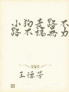 小狗走路不稳走路不稳无力晃悠怎么治疗