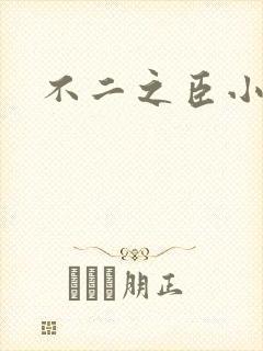 不二之臣小说