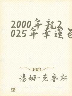 2000年龙2025年幸运色封面