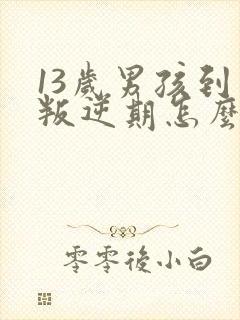 13岁男孩到了叛逆期怎么教