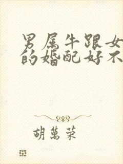 男属牛跟女属兔的婚配好不好