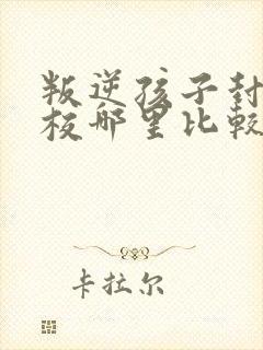 叛逆孩子封闭学校哪里比较正规